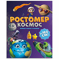 Ростомер. Космос. 16*160 см. ГЕОДОМ