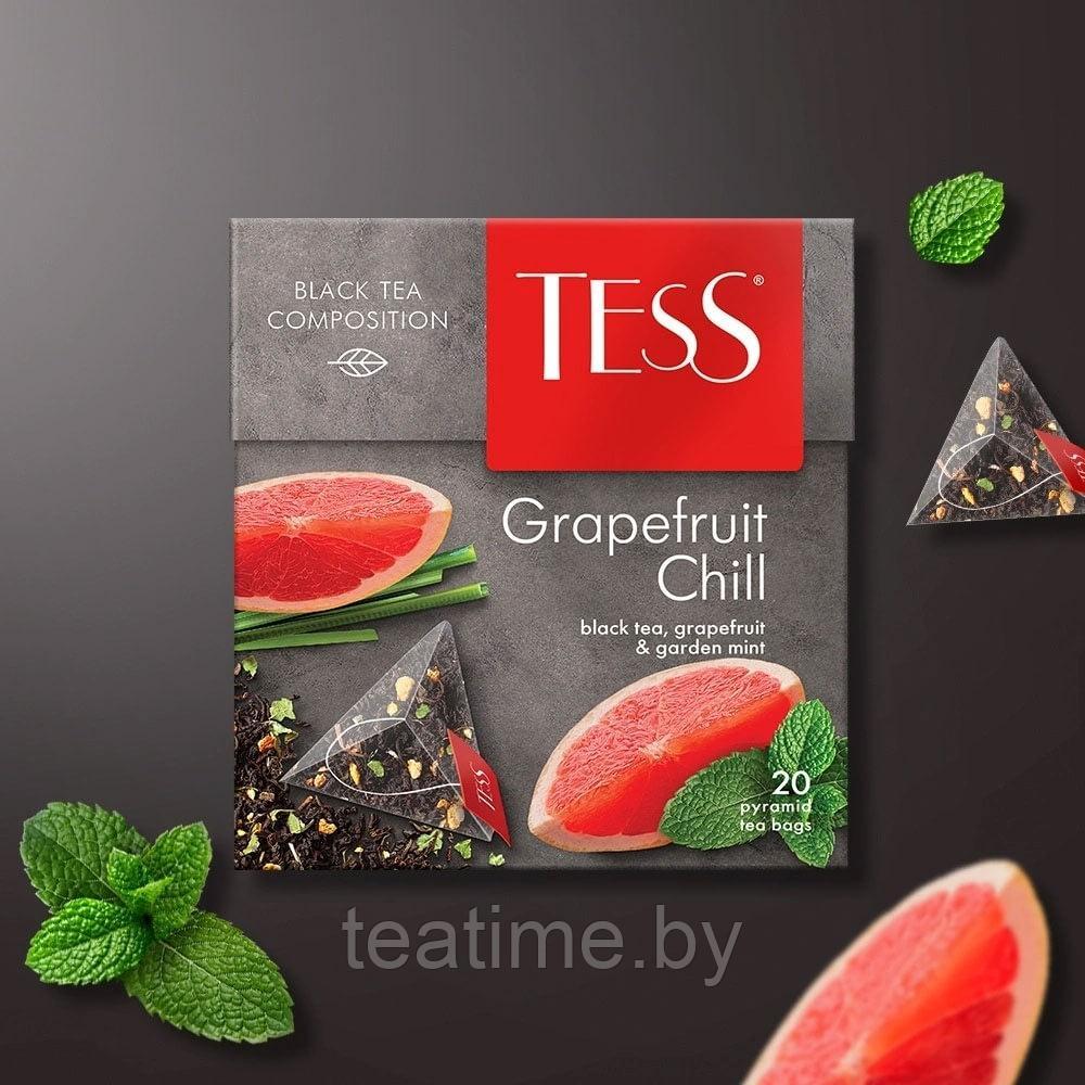 Чай Тесс Grapefruit Chill 20 пак. (зеленый, травяной) - фото 2 - id-p6518043