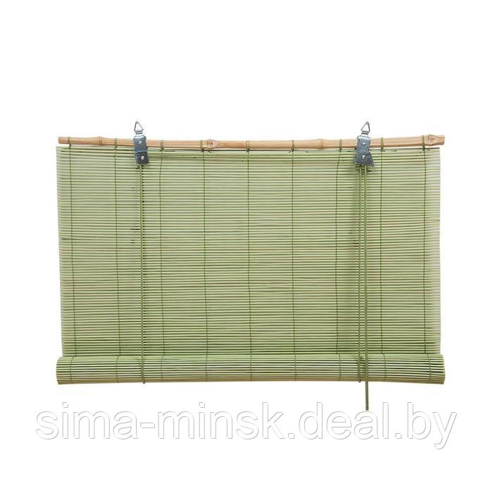 Бамбуковая рулонная штора, 100×160 см, цвет зелёный - фото 1 - id-p160349039