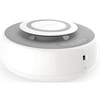 Беспроводная колонка Nillkin Cozy MC2, фото 2