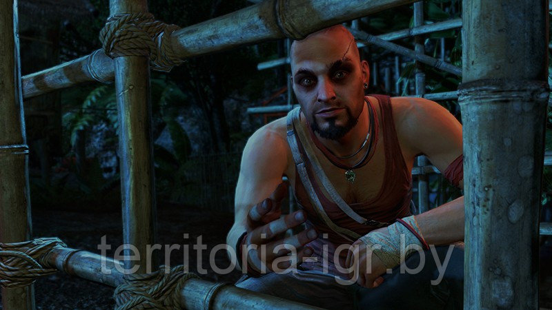 Far Cry 3 Classic Edition PS4 (Русская версия) - фото 5 - id-p77944037
