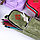 Пенал мягкий тубус в форме рюкзака "Darvish" цвет ассорти, фото 5