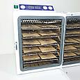 Сухожар (стерилизатор) для инструментов "Ferroplast" - 10 Ферропласт, фото 4
