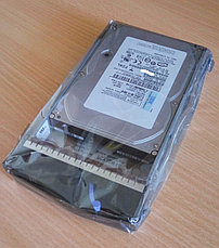 42D0410 42D0417 HDD IBM 300GB 15K 4G 3.5 (U4096) 40pin FC, фото 3