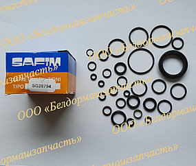 Ремкомплект (комплект уплотнений) тормозного механизма 103064/I S6 SAFIM SG28794