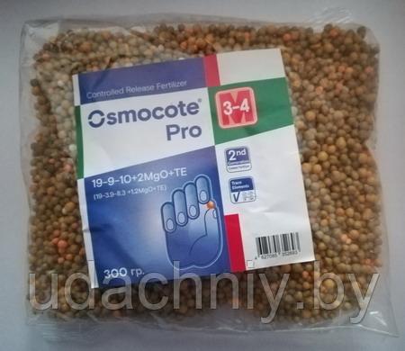 Удобрение Osmocote Pro (3-4 м.) 19+9+10+2MgO+Te. 100 г.