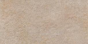 Керамическая плитка Roca Toledo MN 31x61, м2 (SMT635251) - фото 1 - id-p160840282