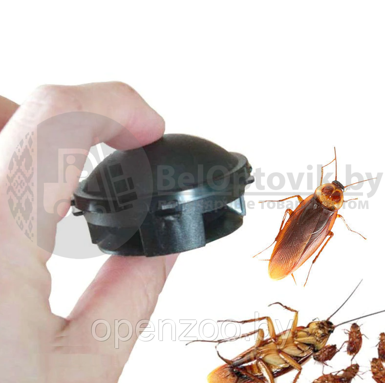Средство (ловушка) от тараканов Earth Black cap (использование в помещении и на улице, 12 штук в упаковке) - фото 7 - id-p160887928