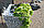 Цветочный горшок - габион, высота 1 метр, фото 4
