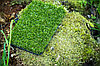 Искусственная трава English Mat Premium (Италия), фото 2