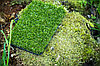 Искусственный газон для ландшафта Artificial grass 2х25м (Китай), фото 2