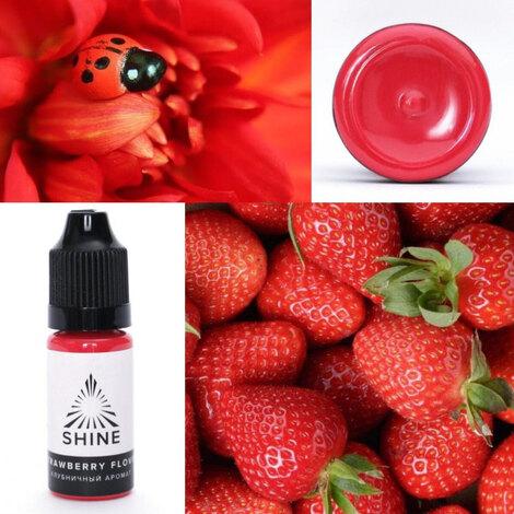 Пигмент SHINE (шайн) Strawberry Flavor / Клубничный аромат - фото 2 - id-p161016889
