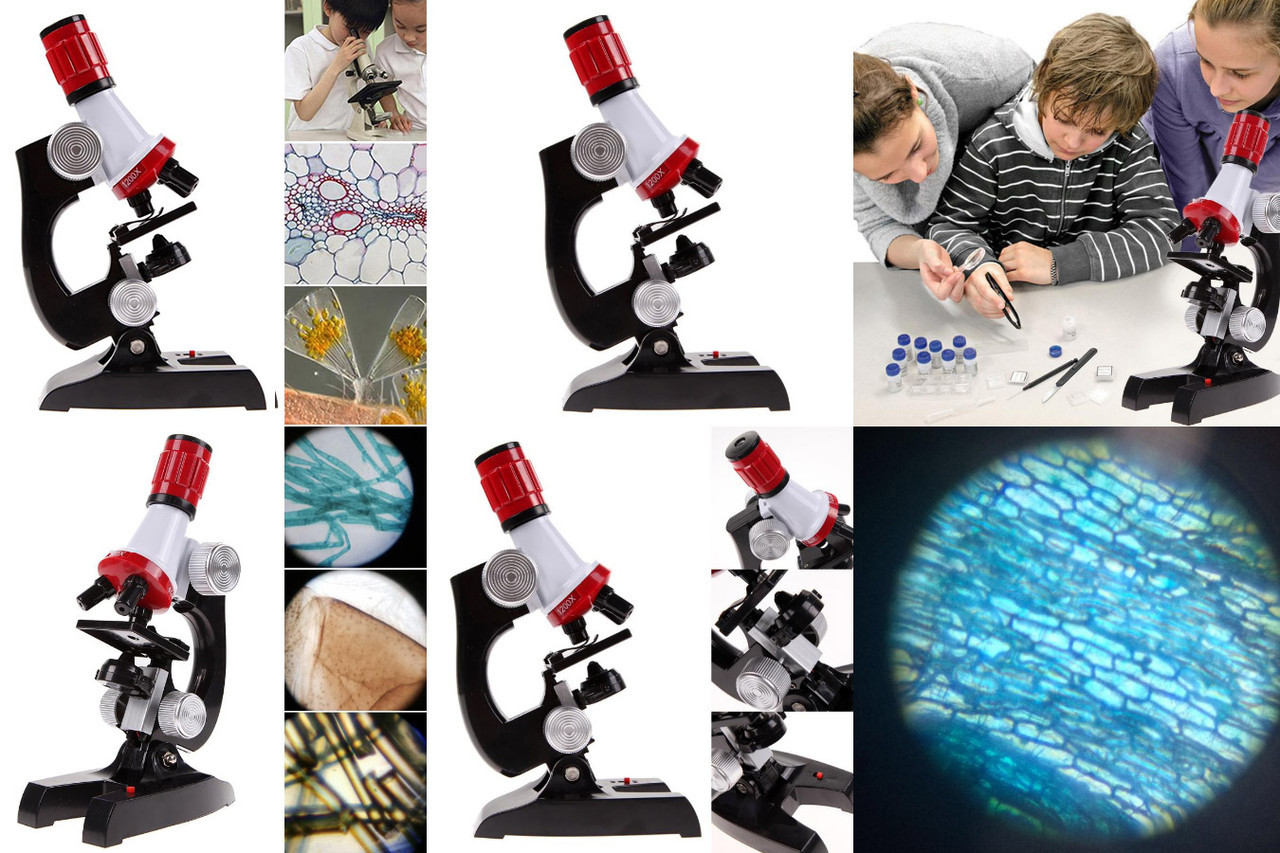 Детский микроскоп Scientific Microscope (Белый) - фото 2 - id-p161026968