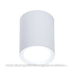 Накладной точечный светильник TN215 WH/S белый/песок GU5.3 D56*70 : TN215 WH/S белый/песок