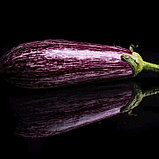 Баклажан Зебрино F1, семена, 5 шт., Турция, (чп), фото 4