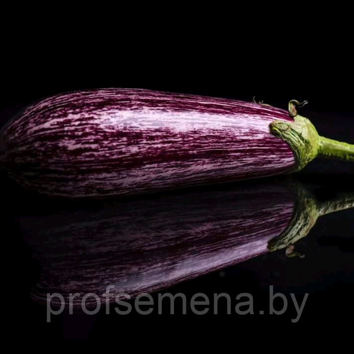 Баклажан Зебрино F1, семена, 20 шт., Турция, (чп) - фото 5 - id-p161155470