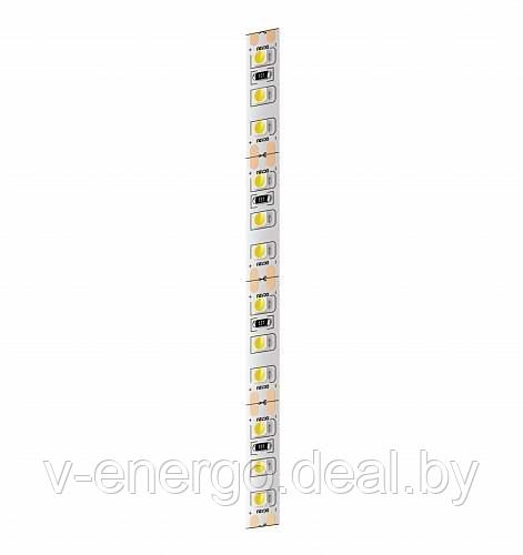 Светодиодная лента Geniled GL-120SMD3528 12В 480лм/м 9,6Вт/м 8х5000 2700-3000К IP33 - фото 1 - id-p161190252