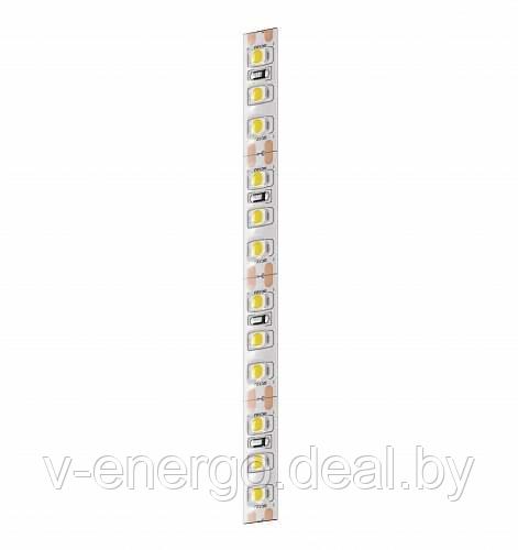 Светодиодная лента Geniled GL-120SMD3528 12В 580лм/м 9,6Вт/м 8х5000 6000-6500К IP65 - фото 1 - id-p161190258