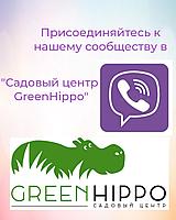 Сообщество в Viber "Садовый центр GreenHippo"