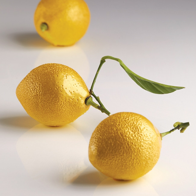 Форма силиконовая двойная "Лимон" d53мм h70мм, 85мл, 8 ячеек AF006S - фото 1 - id-p161183287