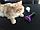 Фурминатор расческа для вычесывания шерстидля кошек и собак, фото 7