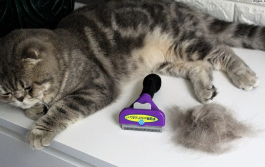Фурминатор расческа для вычесывания шерстидля кошек и собак, фото 1