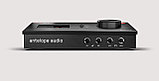 Аудио-интерфейс Antelope Audio Zen Q Synergy Core, фото 2