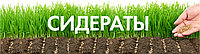 СИДЕРАТЫ: ЗЕЛЕНОЕ УДОБРЕНИЕ