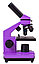 Микроскоп Levenhuk Rainbow 2L PLUS (Аметист), фото 6