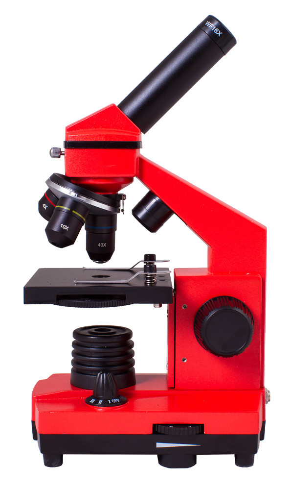 Микроскоп Levenhuk Rainbow 2L PLUS (Апельсин) - фото 4 - id-p106004013