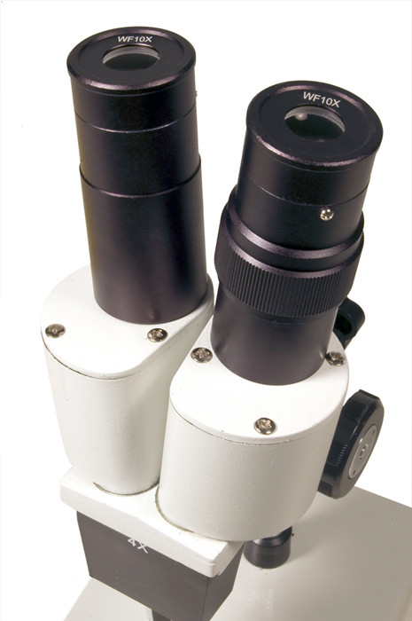Микроскоп Levenhuk 2ST, бинокулярный - фото 4 - id-p106004047