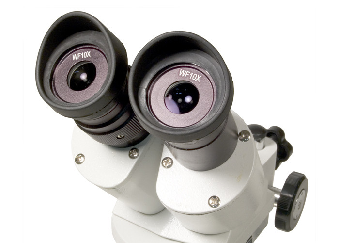 Микроскоп Levenhuk 3ST, бинокулярный - фото 3 - id-p106004048