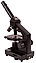 Микроскоп Bresser National Geographic 40–1280x с адаптером для смартфона, фото 8