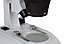 Микроскоп Bresser Researcher ICD LED 20x–80x, фото 6