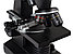 Микроскоп цифровой Bresser LCD 50x–2000x, фото 8