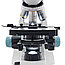Микроскоп Levenhuk 400B, бинокулярный, фото 8