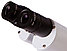 Микроскоп стереоскопический Bresser Biorit ICD CS 5–20x LED, фото 10