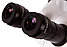 Микроскоп стереоскопический Bresser Science ETD-201 8–50x Trino, фото 10