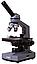 Микроскоп цифровой Levenhuk D320L PLUS, 3,1 Мпикс, монокулярный, фото 10