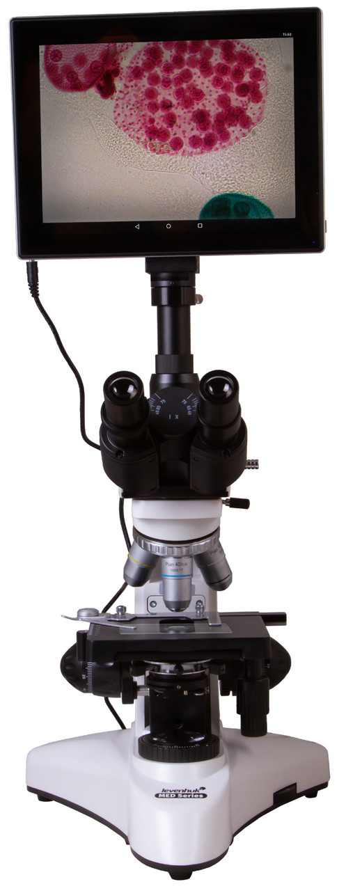Микроскоп цифровой Levenhuk MED D25T LCD, тринокулярный - фото 3 - id-p106004403