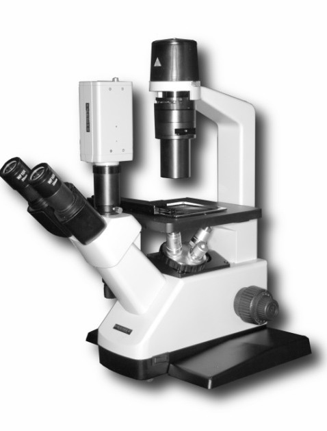 Микроскоп Биомед 3И - фото 1 - id-p148584807