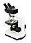 Микроскоп Celestron LABS CB2000C, тринокулярный, фото 4