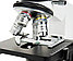 Микроскоп Celestron LABS CB2000C, тринокулярный, фото 6