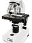Микроскоп Celestron LABS CB2000CF, бинокулярный, фото 4