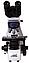 Микроскоп Levenhuk MED 30B, бинокулярный, фото 4