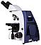 Микроскоп Levenhuk MED 30B, бинокулярный, фото 9