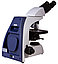 Микроскоп Levenhuk MED 35B, бинокулярный, фото 7