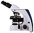Микроскоп Levenhuk MED 35B, бинокулярный, фото 10
