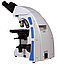 Микроскоп Levenhuk MED 40B, бинокулярный, фото 8