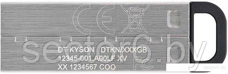 USB Flash Kingston Kyson 128GB, фото 2